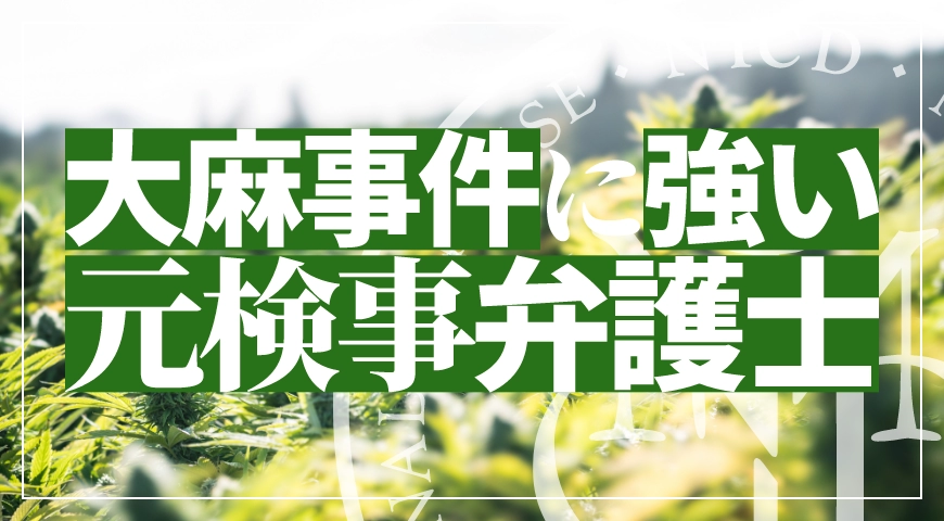 大麻事件に強い刑事弁護士